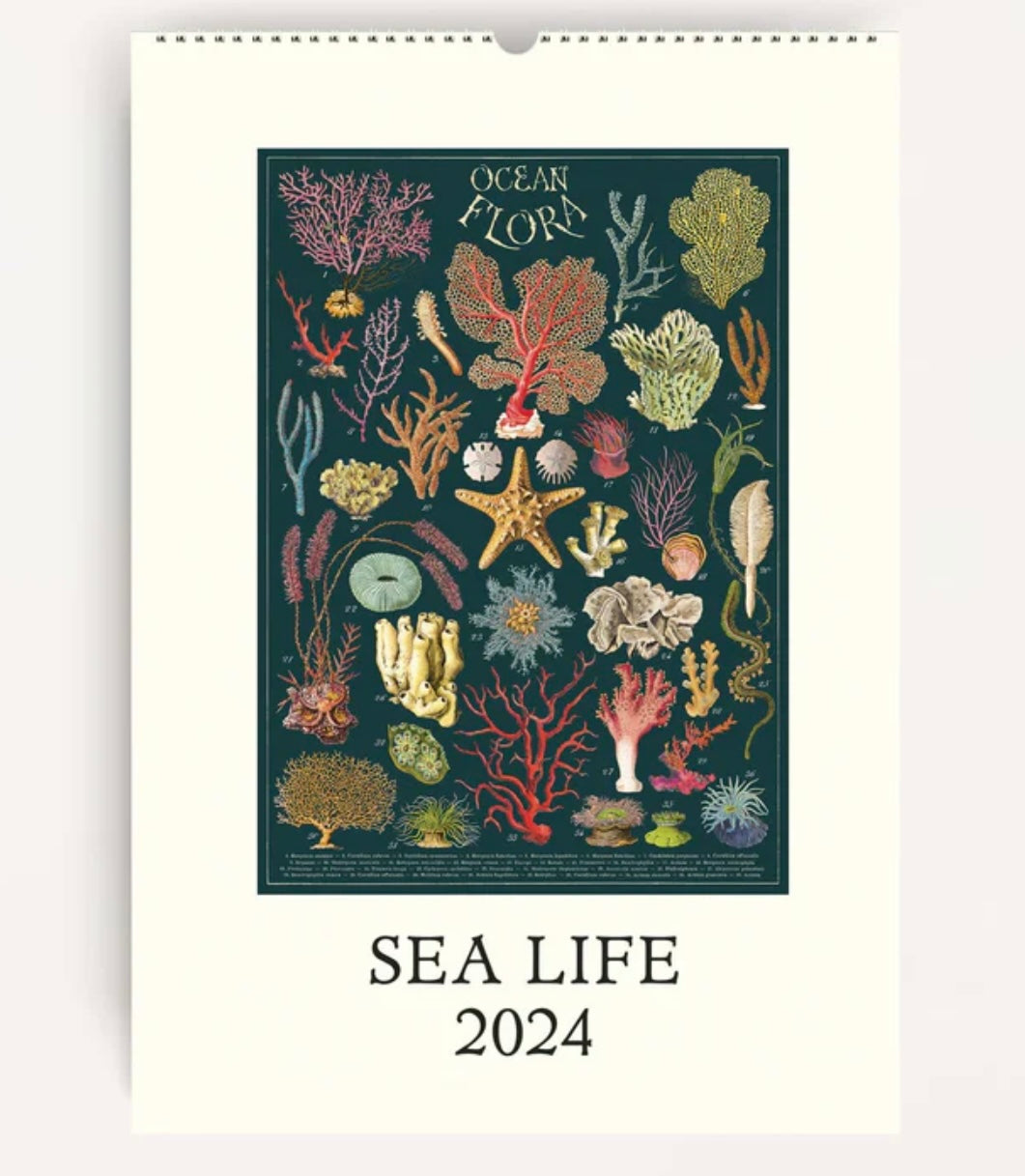 Wall Calendar