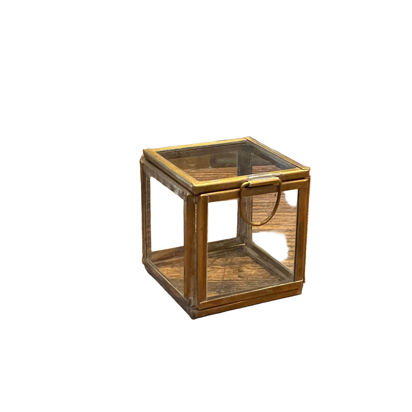 Leaded Glass Petite Pierre Demi Box with shells