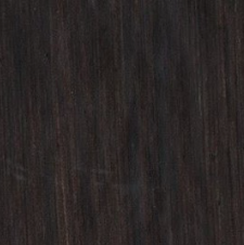 Vasari Classical Artists' Oil Colors