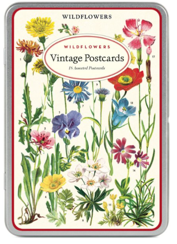 Vintage Postcards - Set of 18