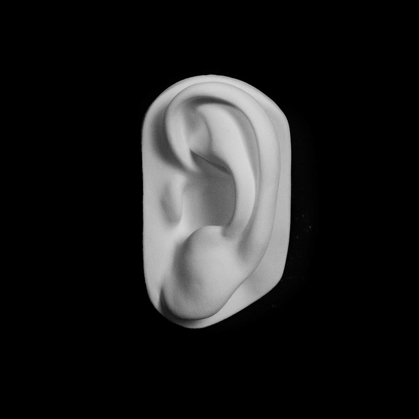 Ear of the David