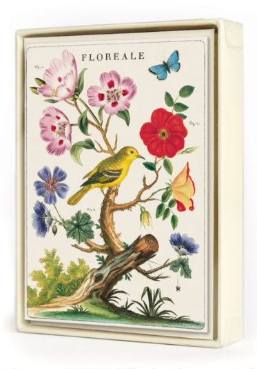 Boxed Notecards - 8 assorted