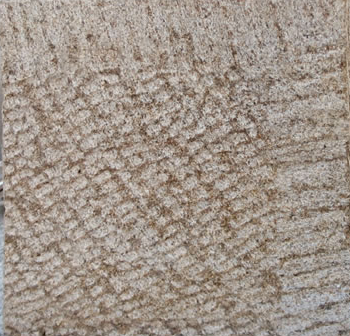 Indianna Limestone
