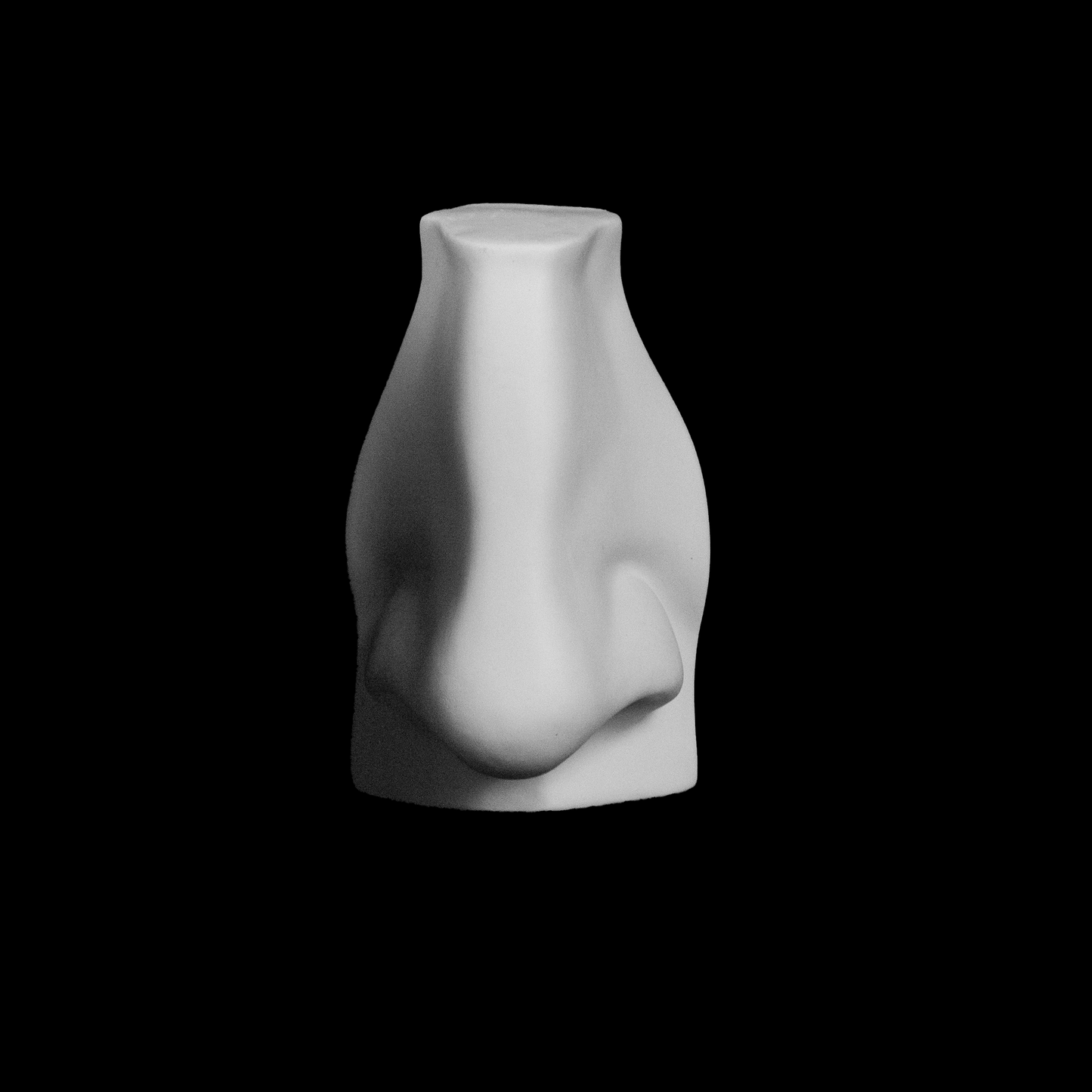 Nose of the David
