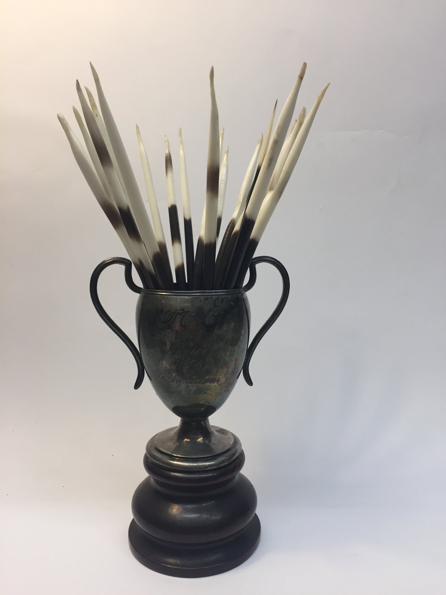 Porcupine quill