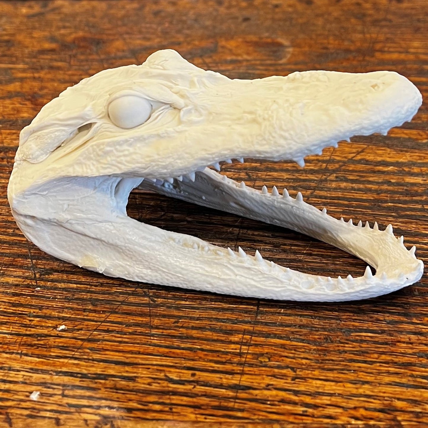 Resin Alligator