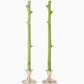 Hemlock Stick Candles