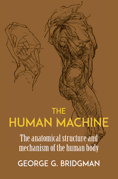 Bridgman, George B. "The Human Machine"