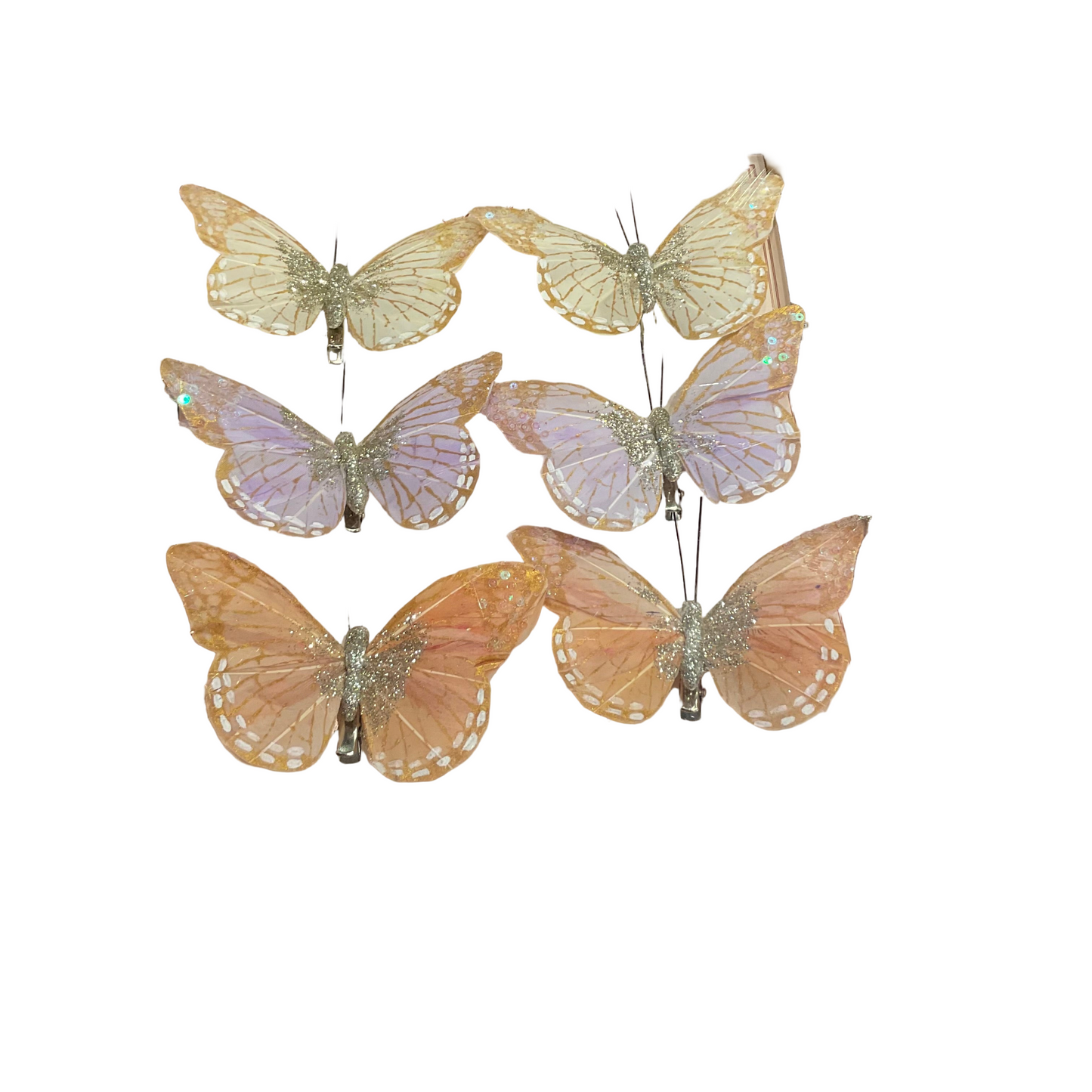 Butterflies on Clip, Box of 6 assorted