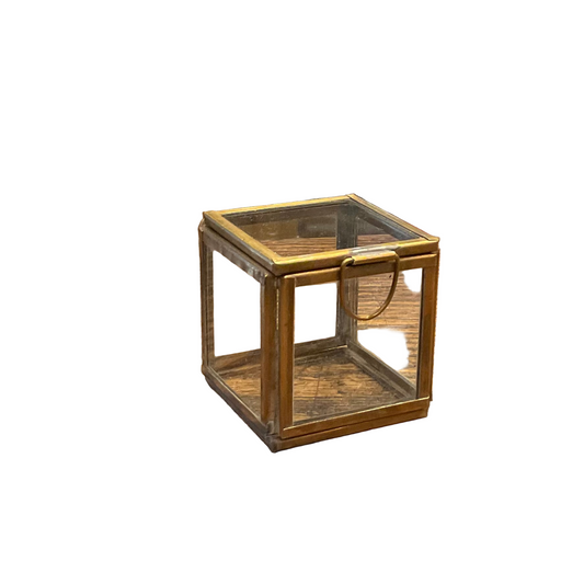 Leaded Glass Petite Pierre Demi Box with shells