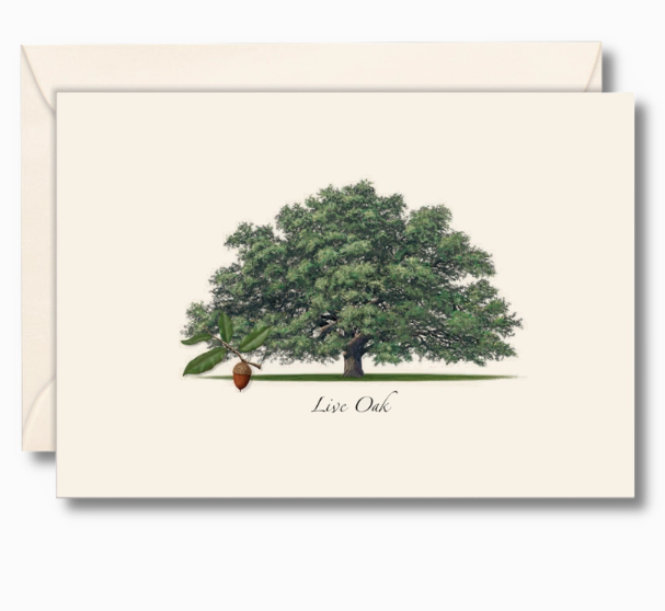 Holiday Card Box Set of 8