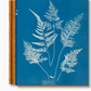 Taschen Books