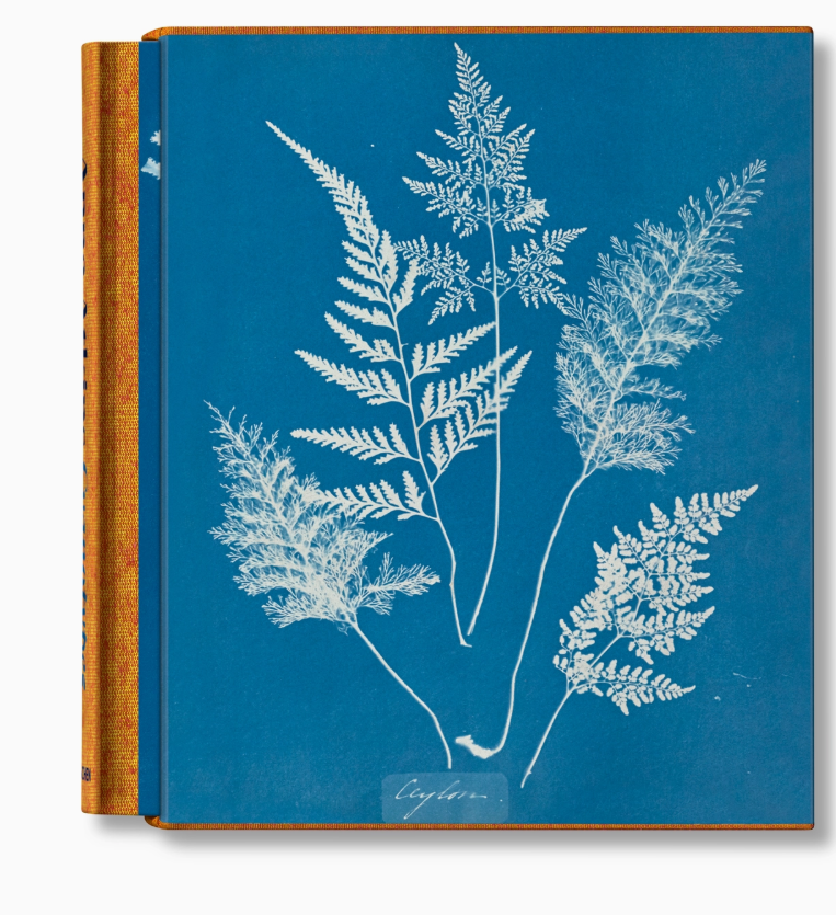 Taschen Books