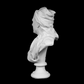 Bust of Nicolas Coustou