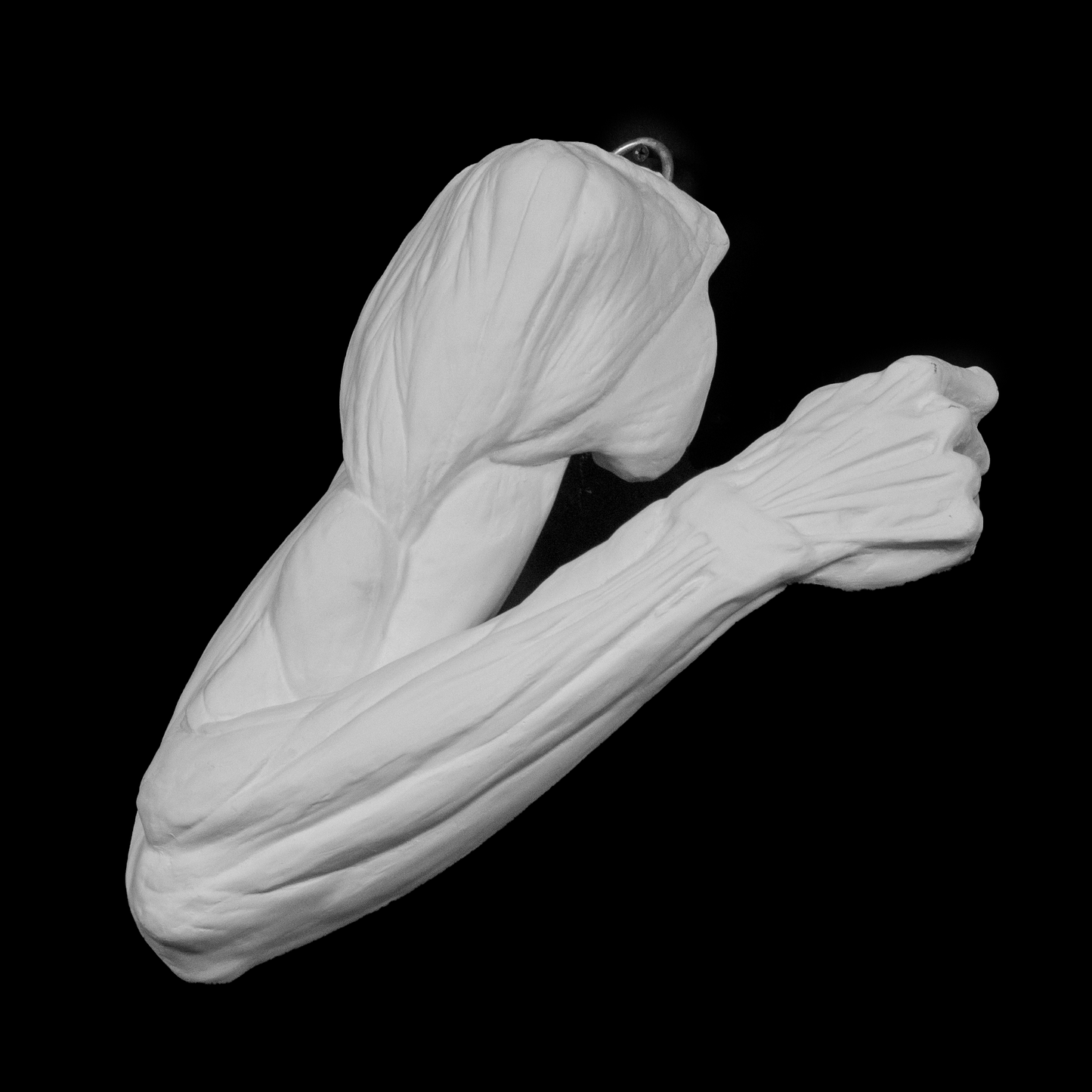 Bent Ecorche Arm