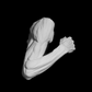 Bent Ecorche Arm