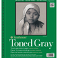 Strathmore Toned Gray 400 Series
