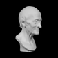 Voltaire