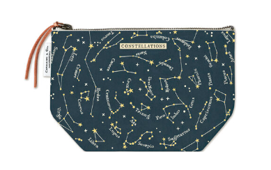 Constellations pouch