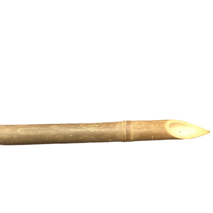 Bamboo Brush Pen