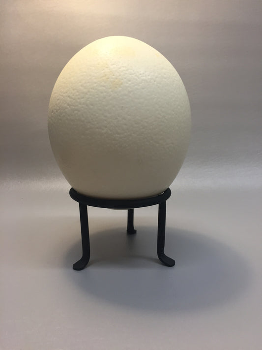 Ostrich Egg