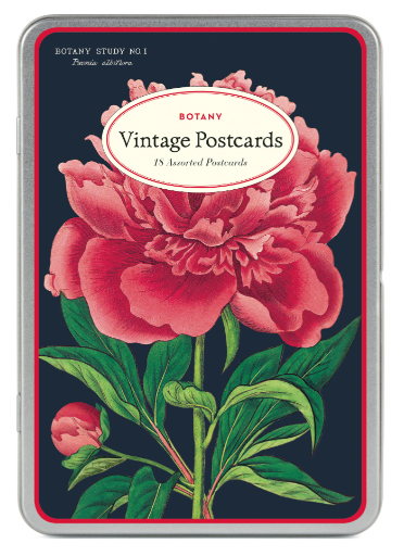 Vintage Postcards - Set of 18