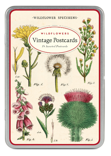 Vintage Postcards - Set of 18